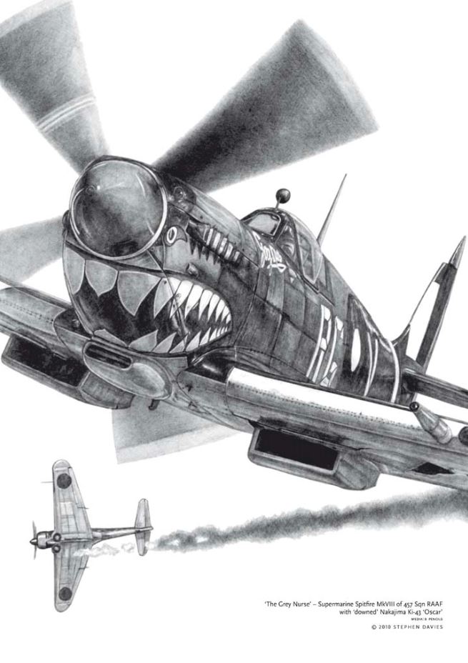Spitfire Stock Illustrations – 392 Spitfire Stock Illustrations, Vectors &  Clipart - Dreamstime